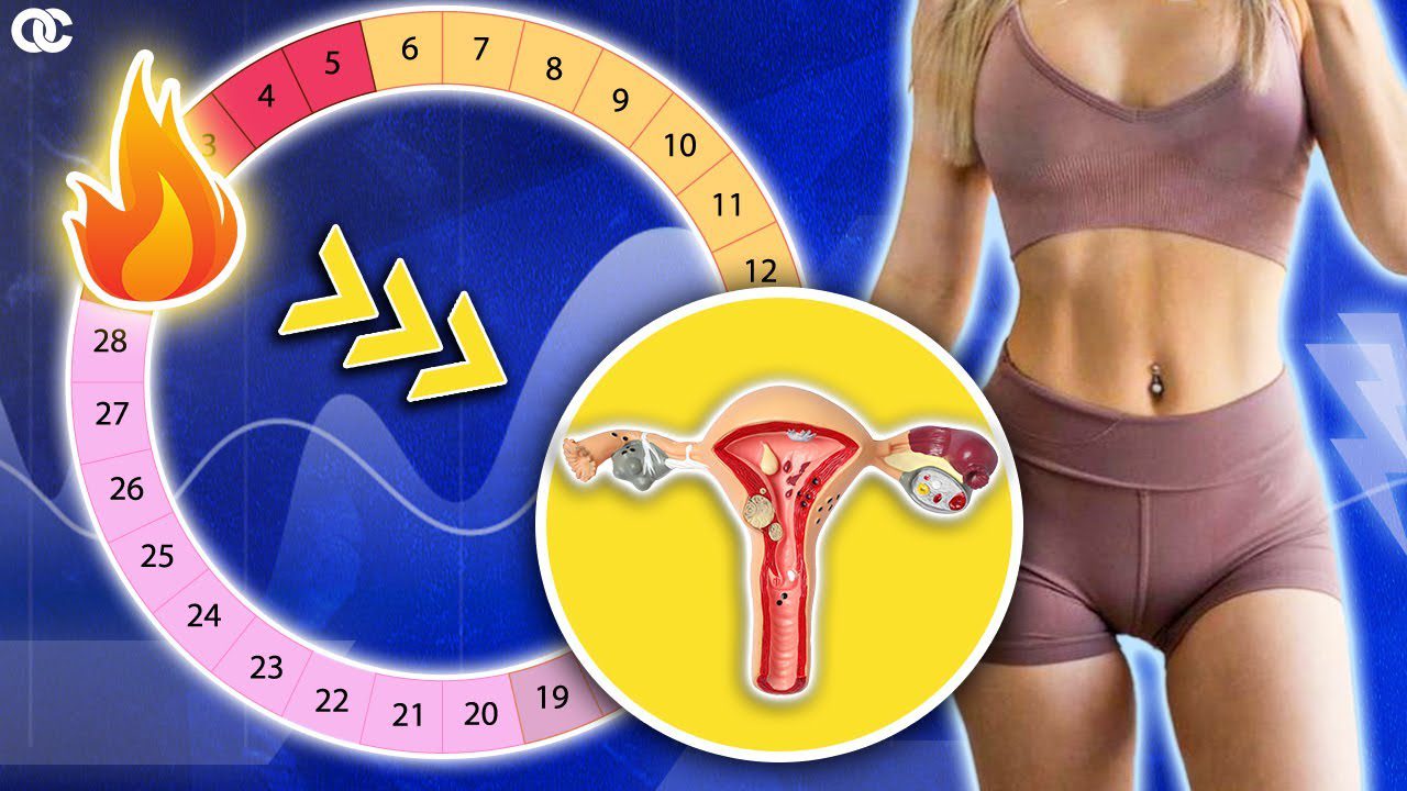 Guia-para-entender-el-ciclo-menstrual-y-la-salud-femenina - Sonajero.es Guía para entender el ciclo menstrual y la salud femenina