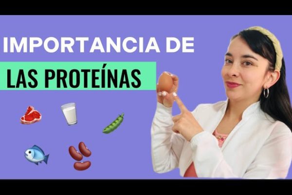 La Importancia de las Proteínas en la Dieta Femenina: Beneficios y Fuentes Clave