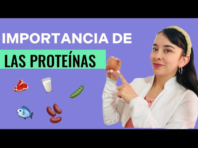 La-importancia-de-las-proteinas-en-la-dieta-femenina - Sonajero.es La importancia de las proteínas en la dieta femenina