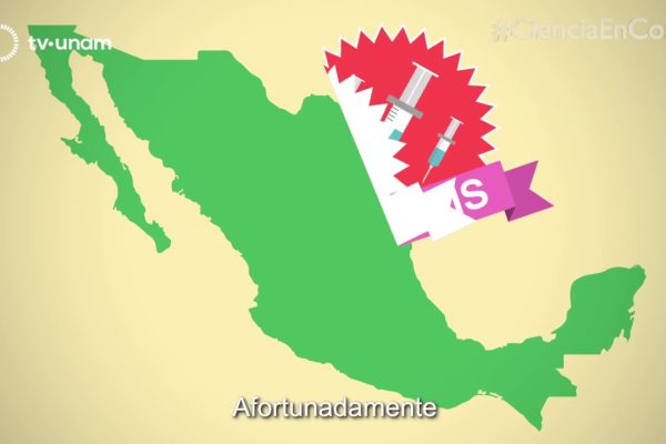 La Importancia de las Vacunas en la Salud Infantil: Protege el Futuro de Tu Hijo