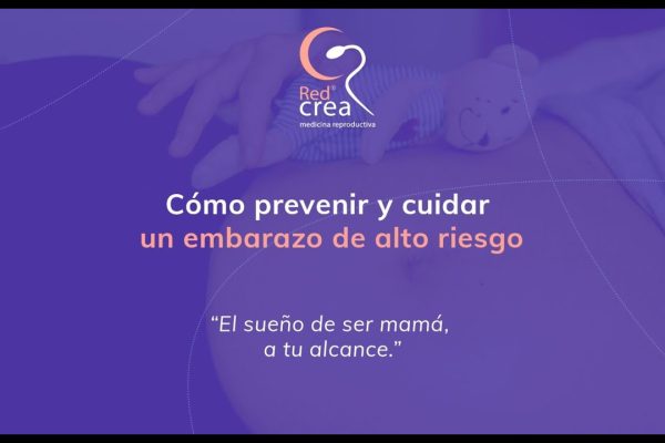 Todo lo que Necesitas Saber sobre la Monitorización del Embarazo de Alto Riesgo: Guía Completa