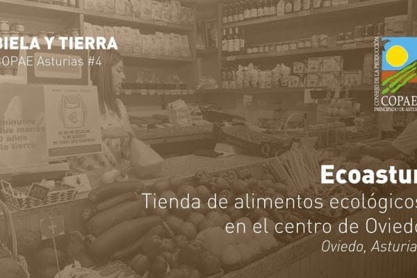 Centros comerciales con las mejores tiendas de alimentos ecológicos en España