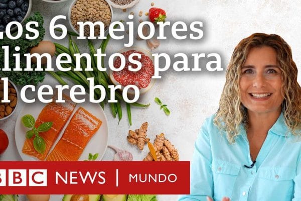 Cómo Mejorar la Concentración y la Memoria con la Alimentación: Guía Completa