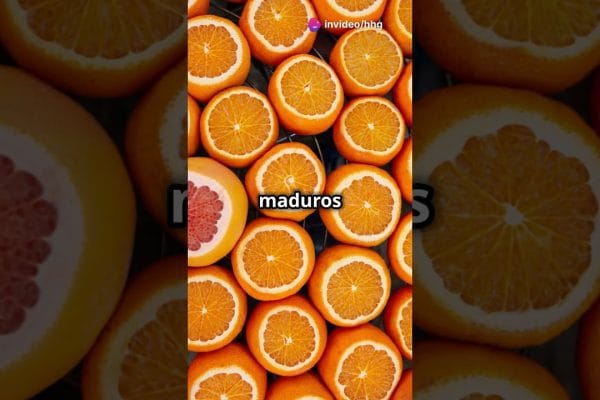 Dieta Rica en Antioxidantes: Clave para una Piel Radiante y Saludable