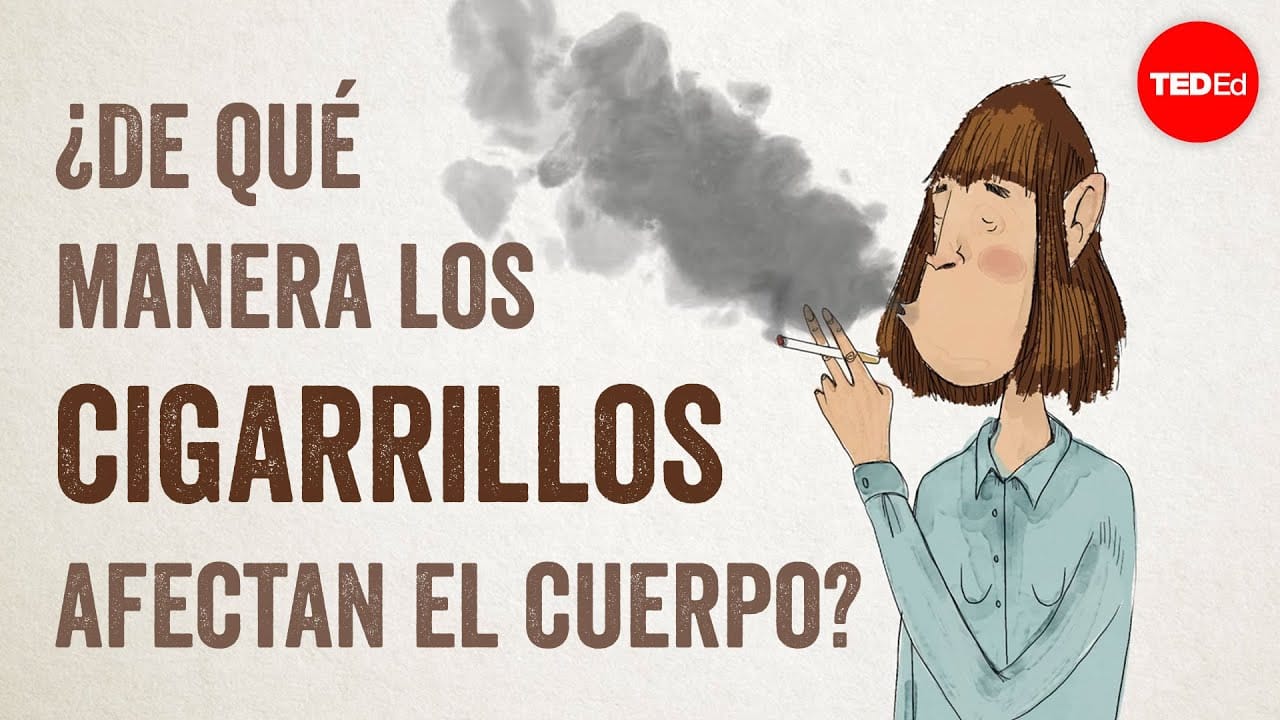 La-relacion-entre-el-tabaquismo-y-los-problemas-ginecologicos - Sonajero.es La relación entre el tabaquismo y los problemas ginecológicos