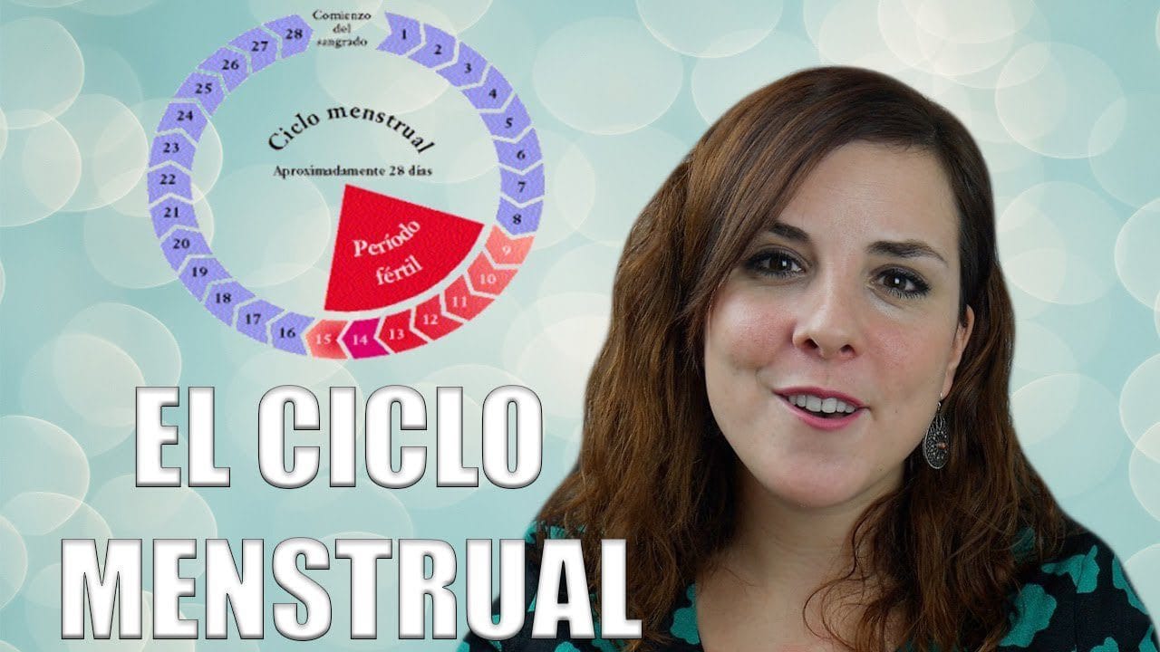 Todo-sobre-el-ciclo-menstrual-y-sus-fases - Sonajero.es Todo sobre el ciclo menstrual y sus fases
