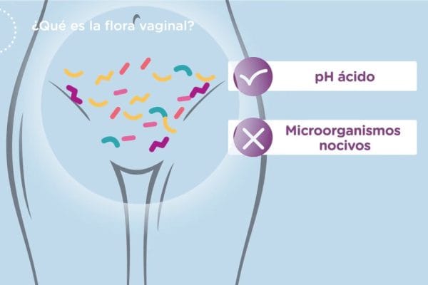 Todo sobre la Salud Vaginal y su Cuidado: Guía Completa para Mantener tu Bienestar Intimo