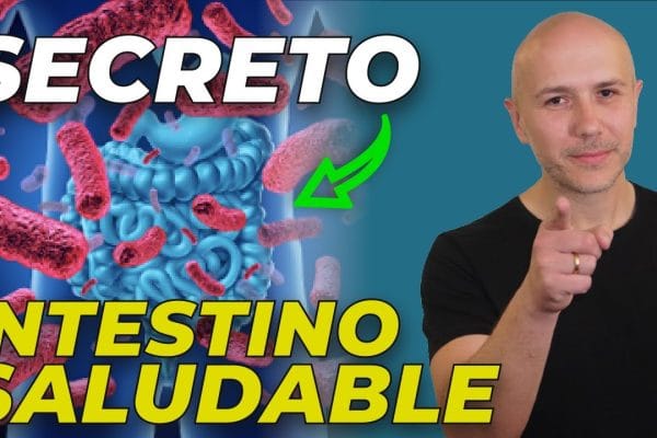 Cómo Mejorar la Salud Digestiva con Alimentos Probióticos: Guía Completa