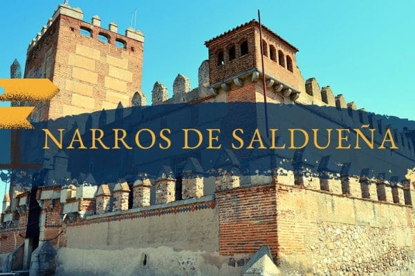 Conoce Narros del Castillo