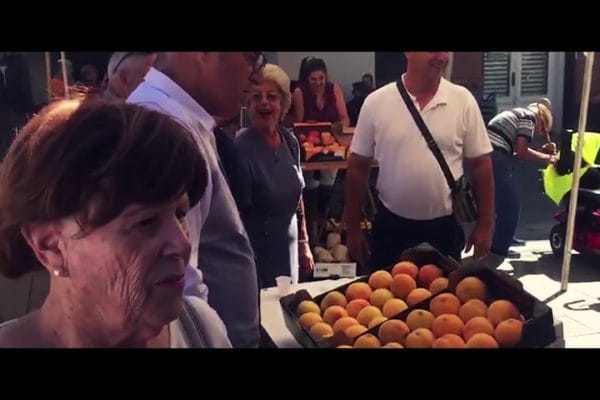 Conoce Navaluenga