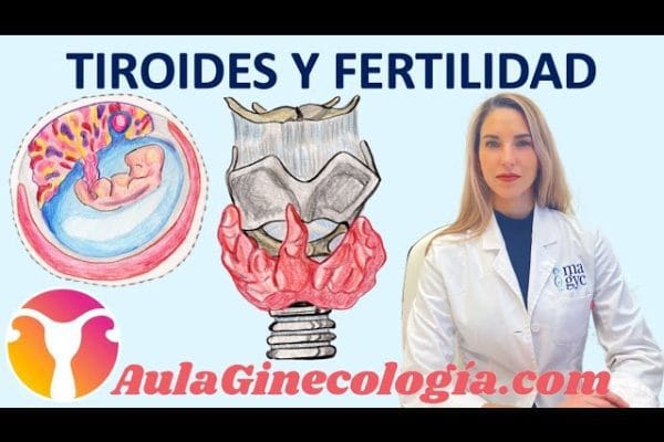 La relación entre la tiroides y la salud ginecológica