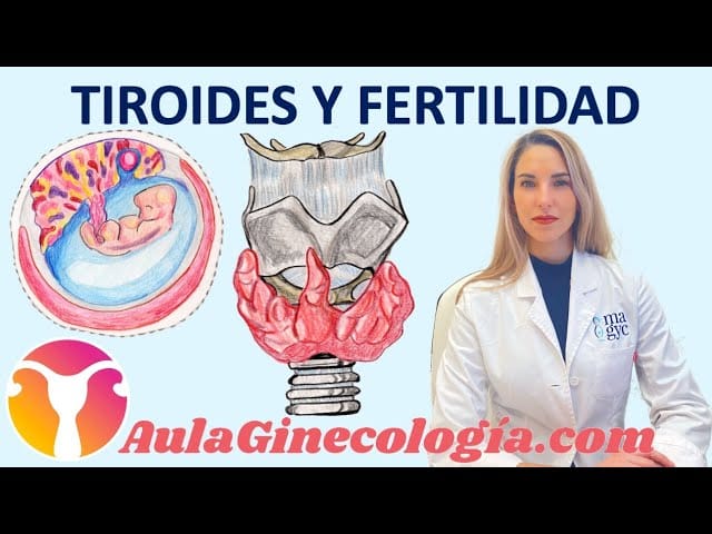 La-relacion-entre-la-tiroides-y-la-salud-ginecologica - Sonajero.es La relación entre la tiroides y la salud ginecológica