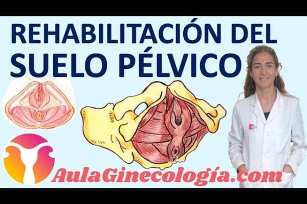 Todo sobre el cuidado del suelo pélvico