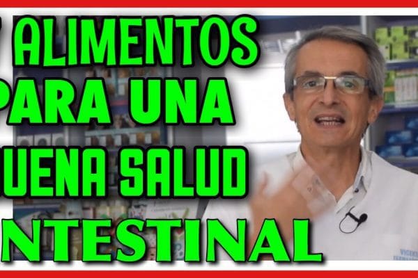 Alimentos para Promover una Buena Salud Intestinal en Mujeres: Guía Completa