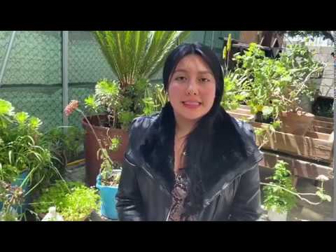 Estrategias-para-promover-el-bienestar-en-la-familia - Sonajero.es Estrategias para promover el bienestar en la familia