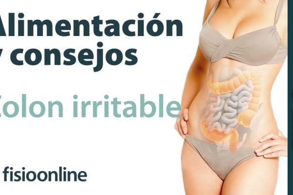 Cómo Prevenir el Síndrome del Intestino Irritable con la Alimentación: Guía Completa