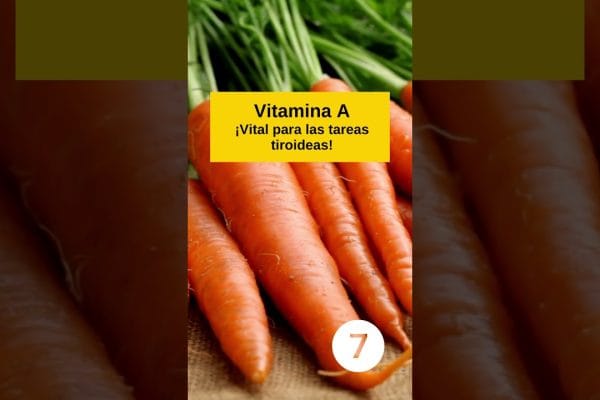 Dieta para Mujeres con Problemas de Tiroides: Recomendaciones Clave para Mejorar tu Salud