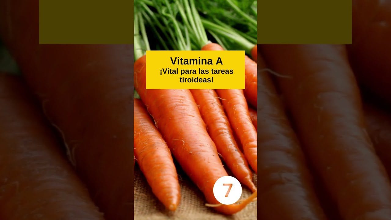 Dieta-para-mujeres-con-problemas-de-tiroides-recomendaciones-clave - Sonajero.es Dieta para mujeres con problemas de tiroides: recomendaciones clave