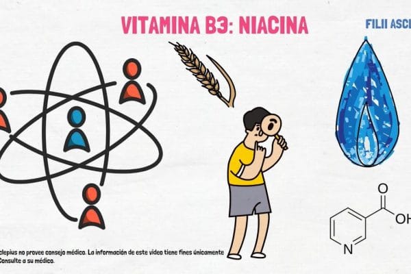 La Importancia de la Vitamina B3 en la Salud Reproductiva: Beneficios y Fuentes Esenciales