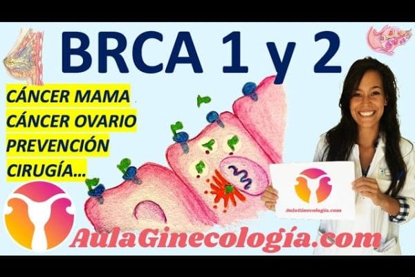 La Relación entre el Cáncer de Mama y la Salud Ginecológica: Todo lo que Debes Saber