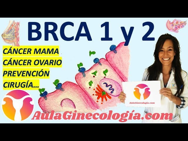 La-relacion-entre-el-cancer-de-mama-y-la-salud-ginecologica - Sonajero.es La relación entre el cáncer de mama y la salud ginecológica