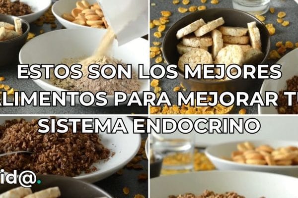 Alimentos que Promueven la Salud del Sistema Endocrino y Metabólico: Guía Completa para una Vida Saludable