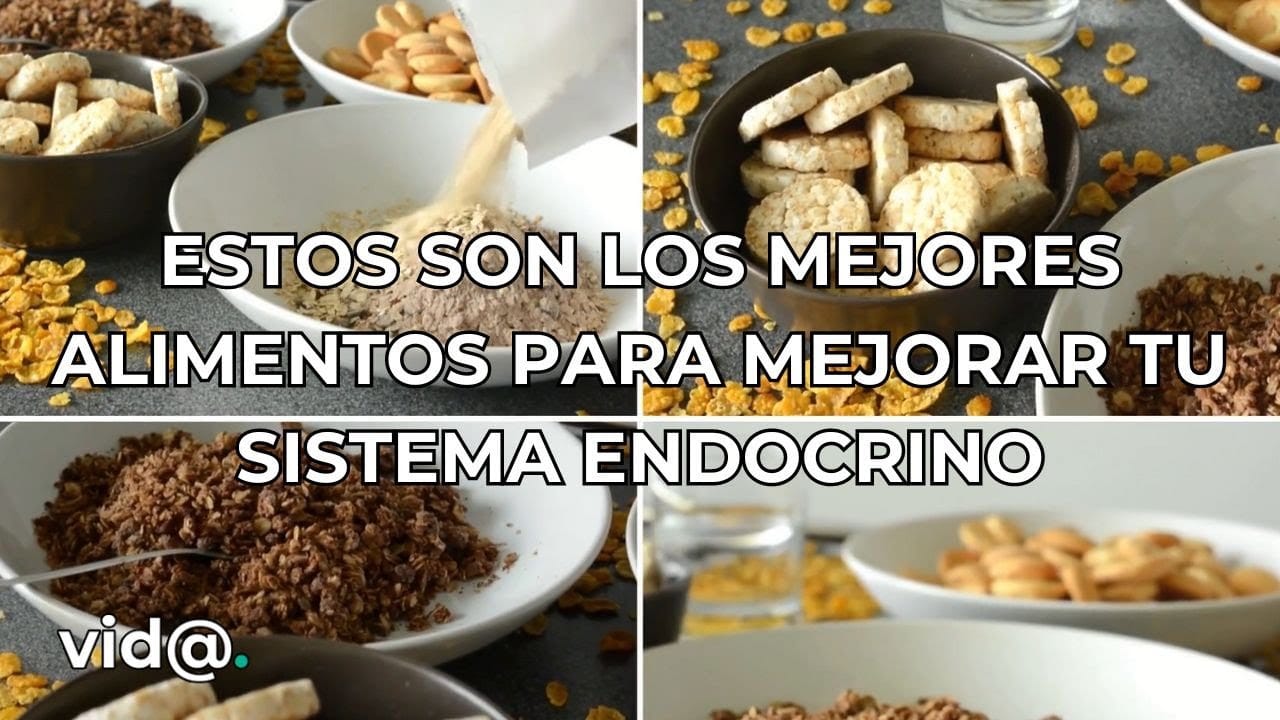 Los-mejores-alimentos-para-apoyar-la-salud-del-sistema-endocrino - Sonajero.es Los mejores alimentos para apoyar la salud del sistema endocrino