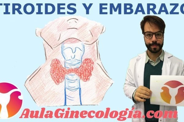 Todo sobre el Seguimiento del Embarazo con Enfermedad Tiroidea: Guía Completa y Consejos Clave