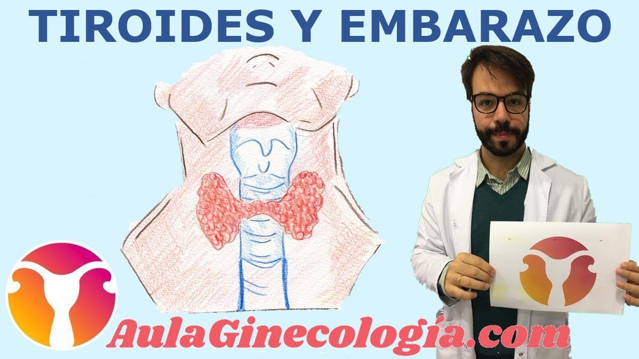 Todo-sobre-el-seguimiento-del-embarazo-con-enfermedad-tiroidea - Sonajero.es Todo sobre el seguimiento del embarazo con enfermedad tiroidea