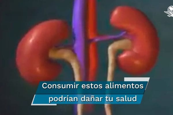 10 Alimentos que Ayudan a Mantener la Salud de los Riñones: Mejora tu Bienestar