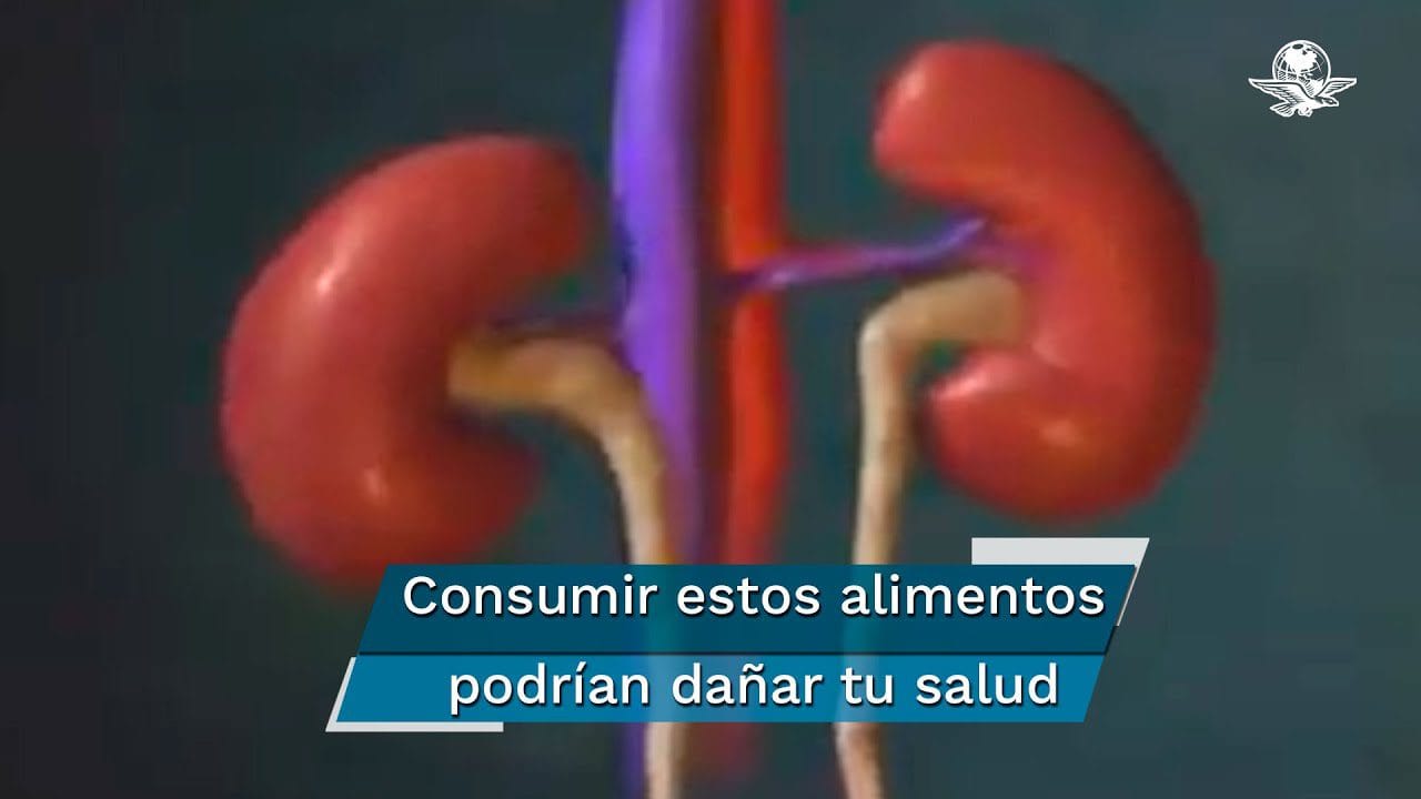 Alimentos-que-ayudan-a-mantener-la-salud-de-los-rinones - Sonajero.es Alimentos que ayudan a mantener la salud de los riñones