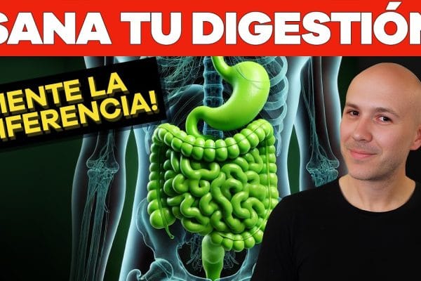 Cómo Manejar la Salud Digestiva con una Dieta Balanceada: Guía Completa para un Bienestar Óptimo