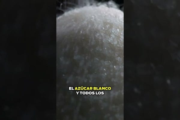 Dieta para Mujeres: Mejora Tu Bienestar General con Estos Consejos Nutricionales