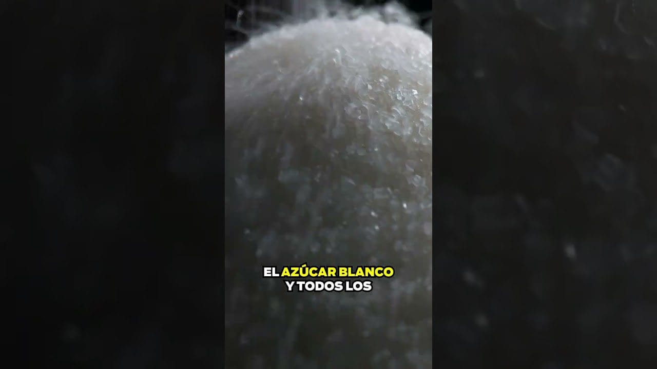 Dieta-para-mujeres-que-buscan-mejorar-su-bienestar-general - Sonajero.es Dieta para mujeres que buscan mejorar su bienestar general