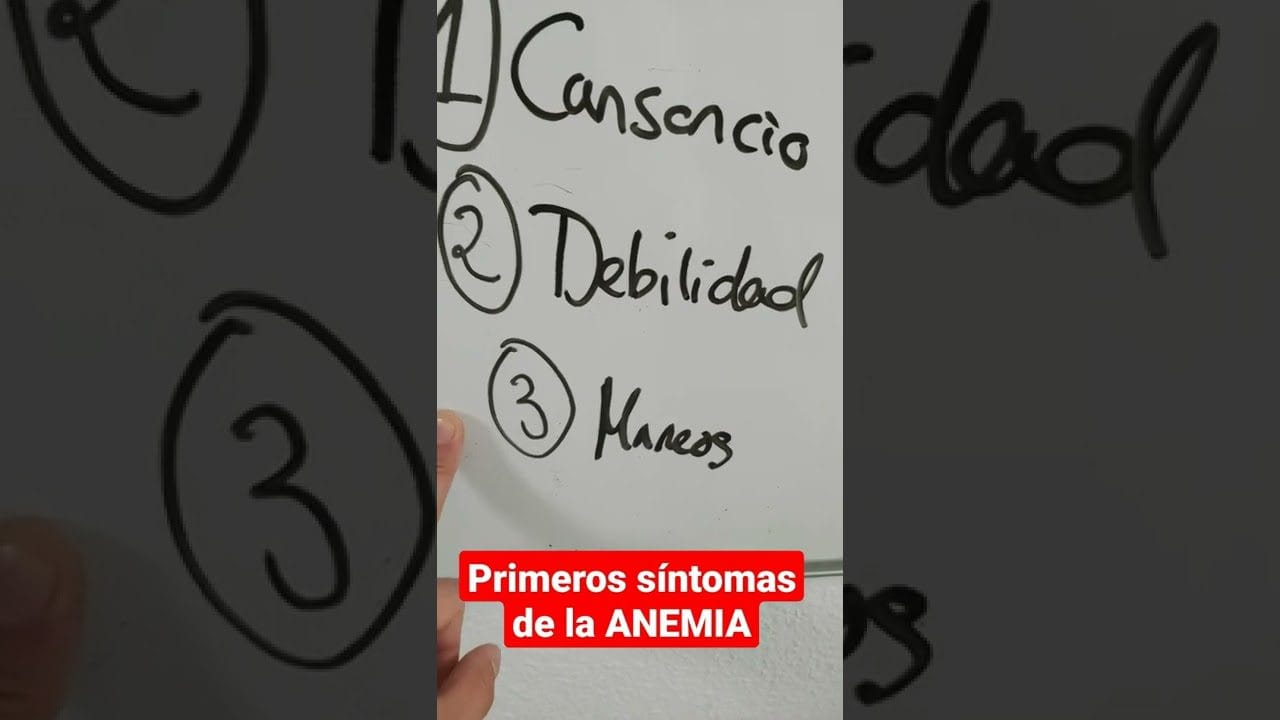 como-implementar-nuevas-tecnicas-en-Como-reconocer-sintomas-de-anemia-en-mujeres - Sonajero.es cómo implementar nuevas técnicas en Cómo reconocer síntomas de anemia en mujeres