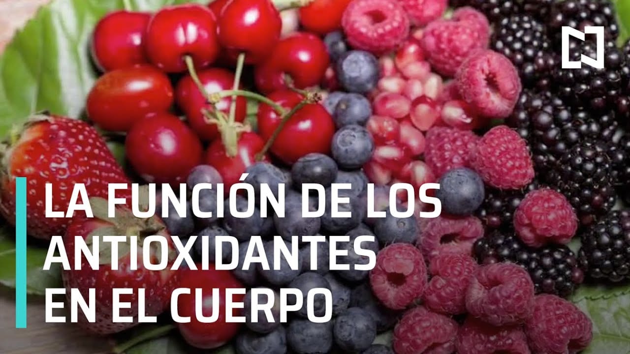 La-importancia-de-los-antioxidantes-para-la-salud-ginecologica - Sonajero.es La importancia de los antioxidantes para la salud ginecológica