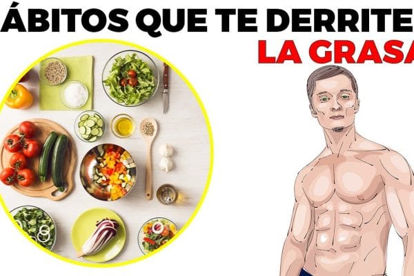 Alimentos que Ayudan a Prevenir Enfermedades Metabólicas: Guía Completa