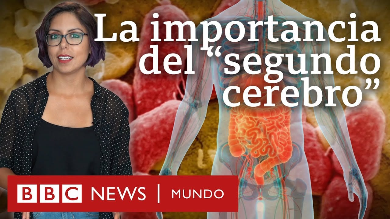 La-conexion-entre-la-salud-del-intestino-y-la-ginecologia - Sonajero.es La conexión entre la salud del intestino y la ginecología