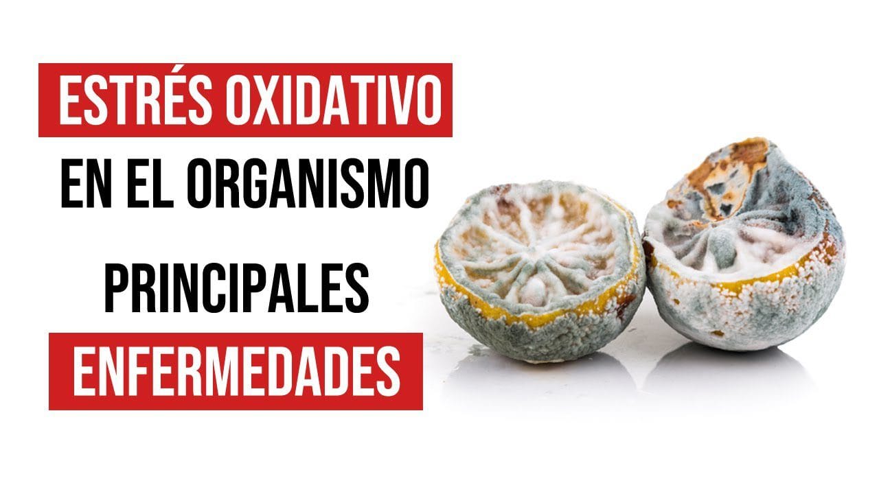Como-prevenir-problemas-de-salud-relacionados-con-el-estres-oxidativo - Sonajero.es Cómo prevenir problemas de salud relacionados con el estrés oxidativo