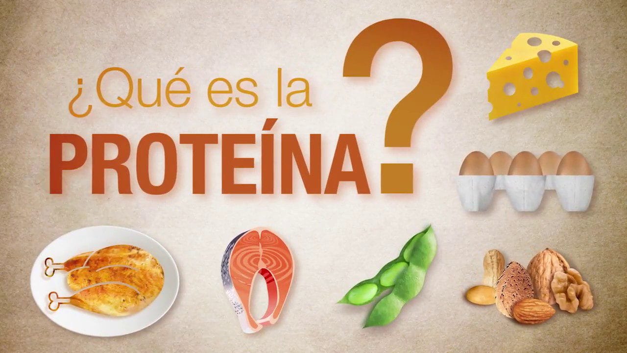 La importancia de la proteína para la salud ginecológica