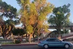 Conoce-Nogales - Sonajero.es Conoce Nogales